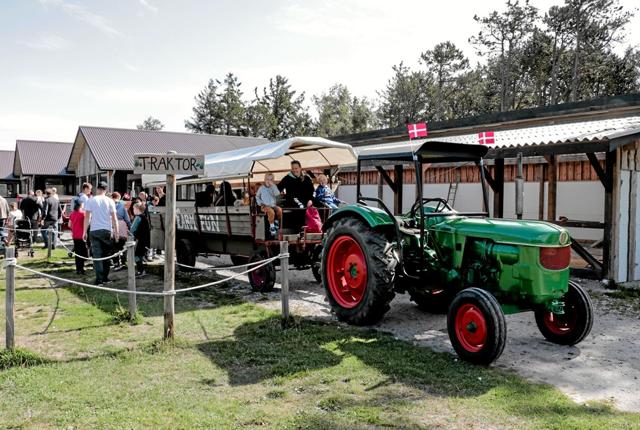 Farm Fun fejrede 25 års jubilæum. Foto: Peter Jørgensen