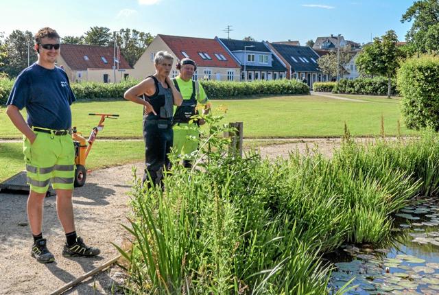Fire udsendte fra Vesthimmmerlands Kommune vil fange karperne og udsætte dem et andet sted. Foto: Mogens Lynge