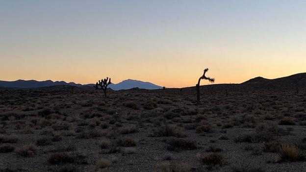 Ultraløber Stine Rex løb 217 kilometers Badwater Marathon i Death Valley. <i>Foto: Stine Rex</i>
