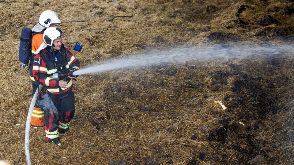 Fredag formiddag udbrød der brand i en stald fyldt med kalve hos Thy Øko-Is på Tømmerbyvej ved Frøstrup. <i>Foto: Bo Lehm</i>