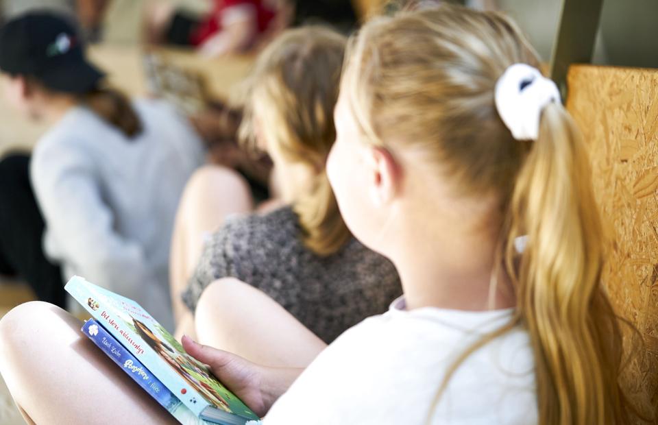 Skolesystemet tilgodeser generelt pigerne, der ifølge rektor Ole Droob, Hasseris Gymnasium, er bedre til at sidde stille, fordybe sig og repetere end drengene. <i>Arkivfoto: Signe Goldmann/Ritzau Scanpix</i>