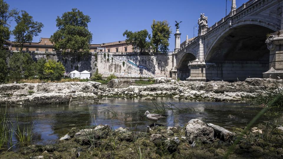 Italien er ifølge en ny rapport det EU-land, der er hårdest ramt af tørke. Vandstanden i floden Tiberen i den italienske hovedstad, Rom, er faldet markant denne sommer, og udenfor byerne klager landmændene over mangel på regn. Det skaber bekymring for årets høst. <i>Oliver Weiken/Ritzau Scanpix</i>