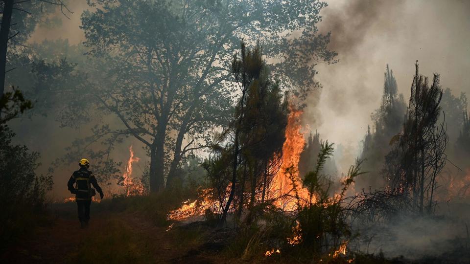 En brandmand ved en af de større skovbrande, der er fulgt i kølvandet på hedebølgen i Frankrig. Her er det ved byen Louchats, der ligger omkring 35 kilometer fra Landiras i det sydvestlige Frankrig. <i>Philippe Lopez/Ritzau Scanpix</i>