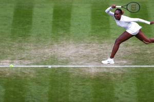 42-årige Venus Williams gør singlecomeback efter et års pause