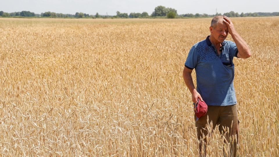 Før krigen var Ukraine på vej til at blive den tredjestørste eksportør af hvede i verden. På billedet ses en ukrainsk landmand på en hvedemark i Tjernihiv. (Arkivfoto). <i>Valentyn Ogirenko/Reuters</i>