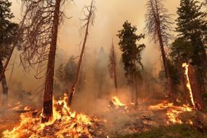 Voldsom skovbrand nær Yosemite nærmer sig nationalparken