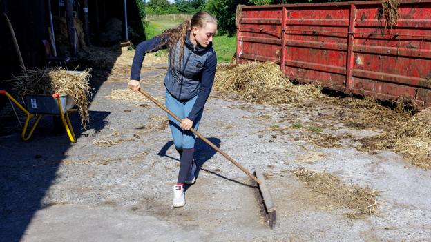 Tvillingerne står selv for al oppasning, fodring og udmugning under de 13 heste, de har i stalden i øjeblikket. <i>Foto: Henrik Bo</i>