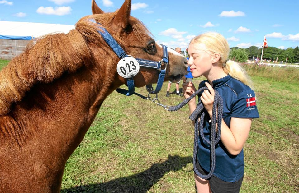 Sasja Lambertsen med sin dygtige pony Pharos. De to har arbejdet sammen i fem år. <i>Foto: Jørgen Ingvardsen</i>