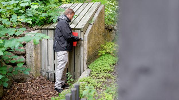 Bunkeren i Vestergade er næsten helt groet til. Den havde plads til 50 mennesker, som kunne søge ly under luftalarm. <i>Foto: Henrik Bo</i>