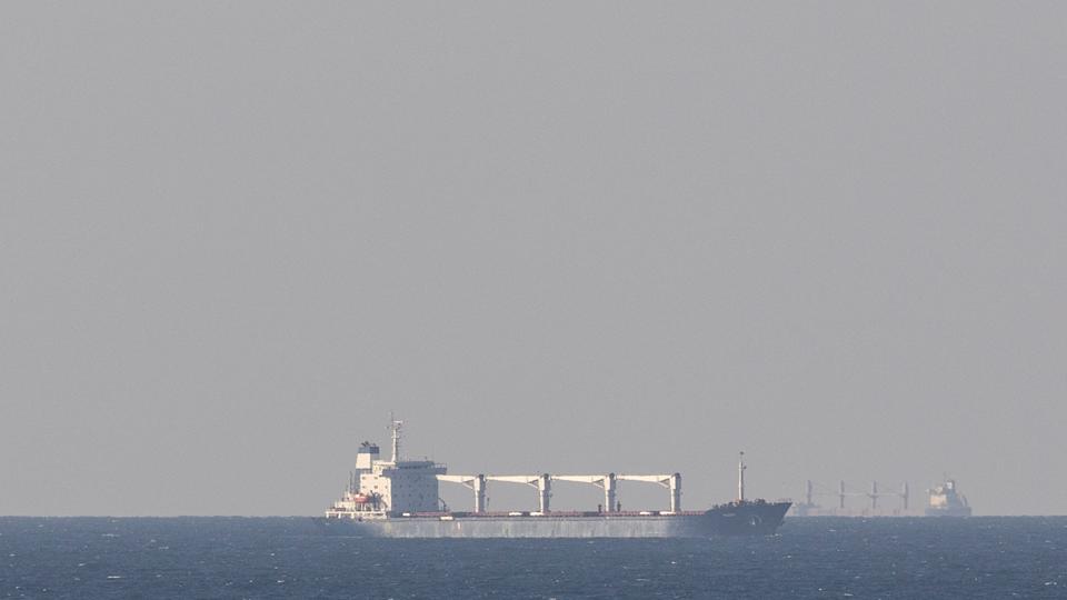 Fragtskibet "Razoni" nærmer sig tirsdag aften Istanbul i Tyrkiet, hvor det skal inspiceres onsdag morgen. <i>Umit Bektas/Reuters</i>