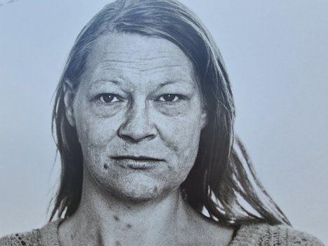 Hjemløse de rodløse <i>Hjemløse de rodløse</i>