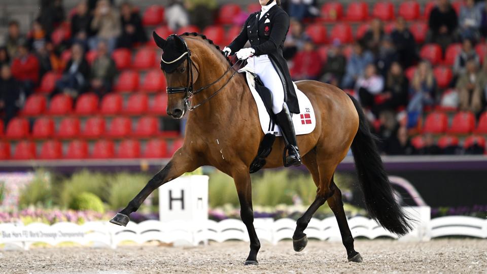 Cathrine Laudrup-Dufour og hesten Vamos Amigos red sig mandag til VM-sølv på MCH Arena i Herning. <i>10050 Pontus Lundahl/Tt/Ritzau Scanpix</i>