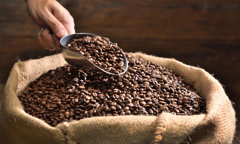 På grund af klimaforandringer kan det i fremtiden blive vanskeligere for kaffeproducenterne at skaffe den helt afgørende råvare: Kaffebønner. På grund af klimaforandringer kan det i fremtiden blive vanskeligere for kaffeproducenterne at skaffe den helt afgørende råvare: Kaffebønner.