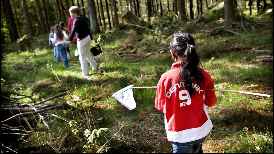 Projektet "Vilde Rødder" skal lære børn at skabe levesteder for truede dyr og planter. (Arkivfoto). <i>Linda Kastrup/Ritzau Scanpix</i>