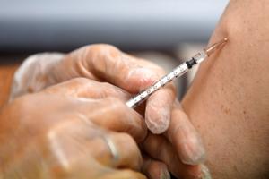 Seruminstituttet vil skaffe 10.000 vaccinedoser mod abekopper