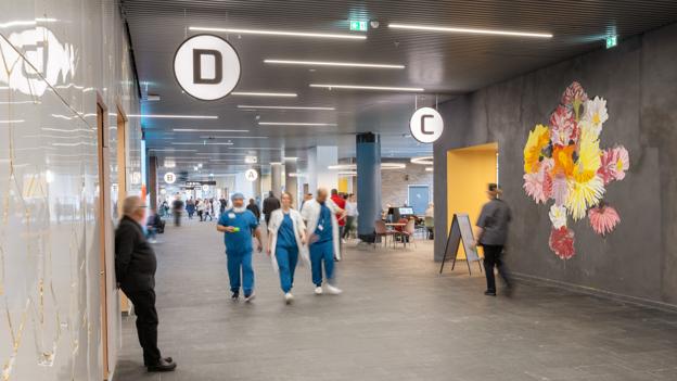 Udsmykningen af den 375 meter lange foyer på Regionssygehuset i Gødstrup har kostet fem mio. kr. Erik A. Frandsen vandt opgaven i 2013. <i>Foto: Søren Braad Andersen</i>