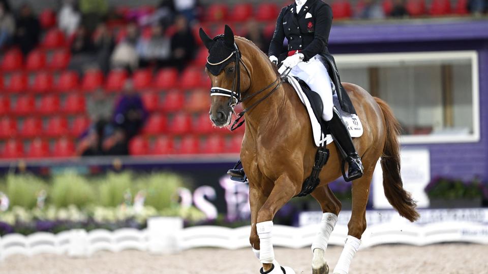 Cathrine Laudrup-Dufour og hesten Vamos Amigos leverede et flot ridt onsdag i Herning, og det rakte til endnu en VM-sølvmedalje. <i>10050 Pontus Lundahl/TT/Ritzau Scanpix</i>