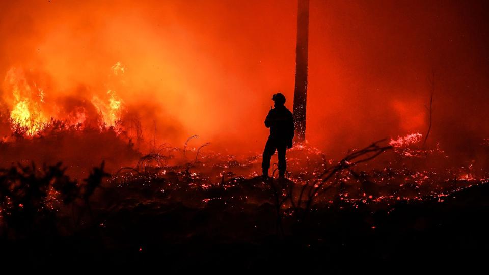 Over 1000 brandmænd kæmper mod en skovbrand nær Bordeaux. Branden har ødelagt et område på størrelse med Tåsinge. <i>Thibaud Moritz/Ritzau Scanpix</i>