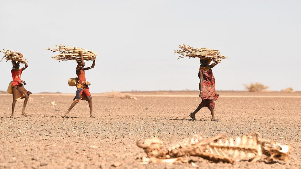 Somalia og naboerne ved Afrikas Horn - herunder Etiopien og Kenya - er ramt af den værste tørke i 40 år. (Arkivfoto). <i>Simon Maina/Ritzau Scanpix</i>