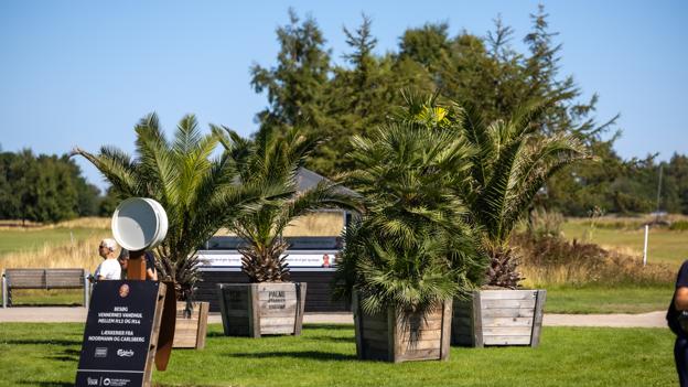 Flankeret af palmer, øl og isboder kan det fint føles lidt festivalagtigt i Frederikshavn Golfklub disse dage. <i>Foto: Kim Dahl Hansen</i>