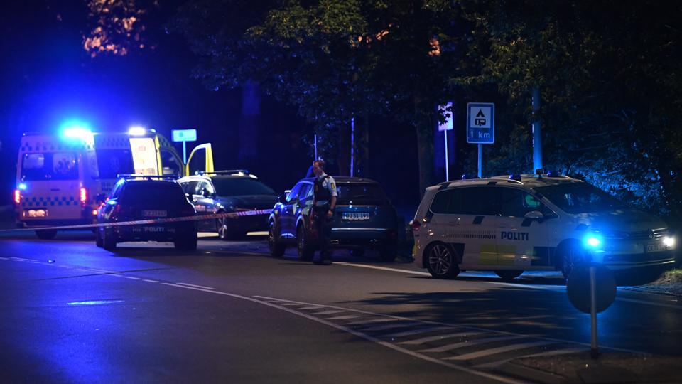 Nordjyllands Politi rykkede fredag aften talstærkt ud til Strandvejen i Aalborg Vestby. <i>Foto: Jan Pedersen</i>