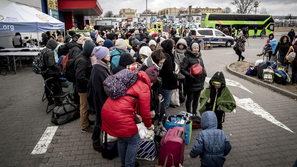 Siden krigen i Ukraine brød ud i februar, er millioner af mennesker flygtet fra landet. En del af dem er kommet til Danmark, og en ny opgørelse viser, hvordan de fordeler sig blandt Danmarks 98 kommuner. (Arkivfoto). <i>Mads Claus Rasmussen/Ritzau Scanpix</i>