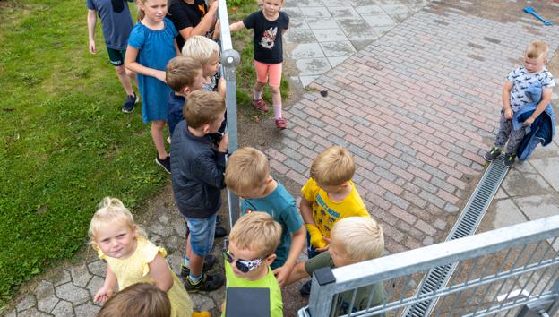 Det, der sker på den anden side af et hegn, er notorisk mere interessant end det, der sker på ens egen side. Ved at åbne lågen er meget af mystikken forsvundet på Vestrup Skole og et nyt fællesskab opstået. <i>Foto: Martél Andersen</i>