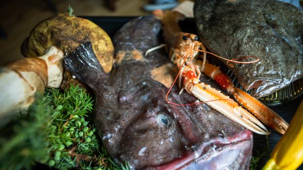 Fisk og skaldyr er det altoverskyggende fokus på Restaurant Emil. <i>Foto: Martél Andersen</i>