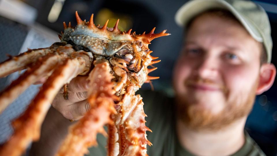 Emil Thaarup åbner Restaurant Emil i Texturs tidligere lokaler i Aalborg. <i>Foto: Martél Andersen</i>