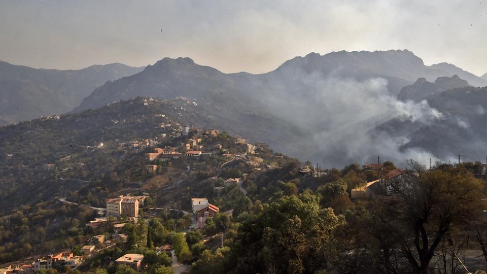 Den nordlige del af Algeriet er hvert år ramt af skovbrande. Billedet er fra 2021, hvor mindst 90 personer mistede livet i skovbrande i landet. <i>Ryad Kramdi/Ritzau Scanpix</i>
