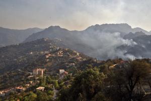 Algeriske skovbrande har kostet 38 personer livet