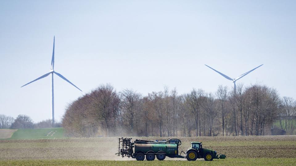 Grovvarekoncernen DLG vurderer, at årets kornhøst vil have en værdi på 27 milliarder kroner. (Arkivfoto). <i>Bo Amstrup / Ritzau Scanpix/Ritzau Scanpix</i>