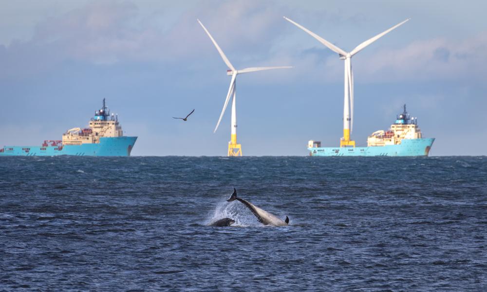 Vindmøller til havs er blevet et nyt forretningsområde for Maersk Supply Service. Vindmøller til havs er blevet et nyt forretningsområde for Maersk Supply Service.