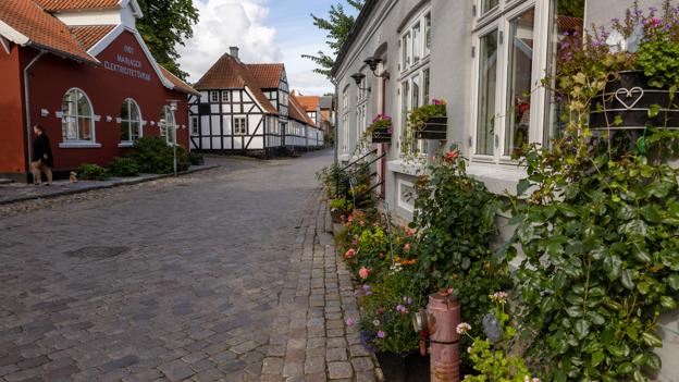 Mariager er vært for folkemøde 25.-28. august. Inde i byen foregår færdsel til fods. De fleste p-pladser er ved hallen og børnehaven. <i>Foto: Kim Dahl Hansen</i>