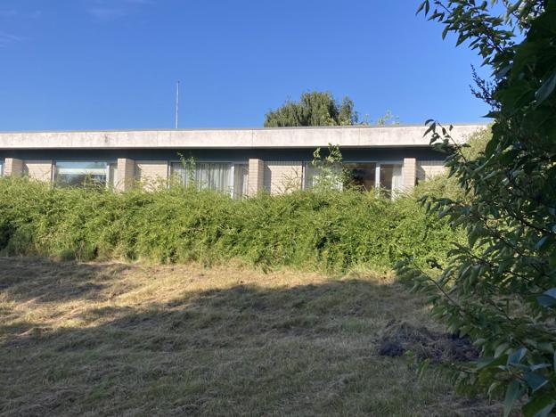 Græsset stod meterhøjt, men den nye ejer har fået Leo Plejdrup til at slå græsset. <i>Privatfoto</i>