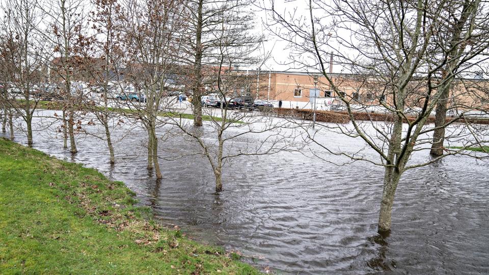 Det voldsomme regnvejr, som har ramt Danmark, kan give oversvømmelser på grund af en længere periode med tørke. (Arkivfoto) <i>Henning Bagger/Ritzau Scanpix</i>