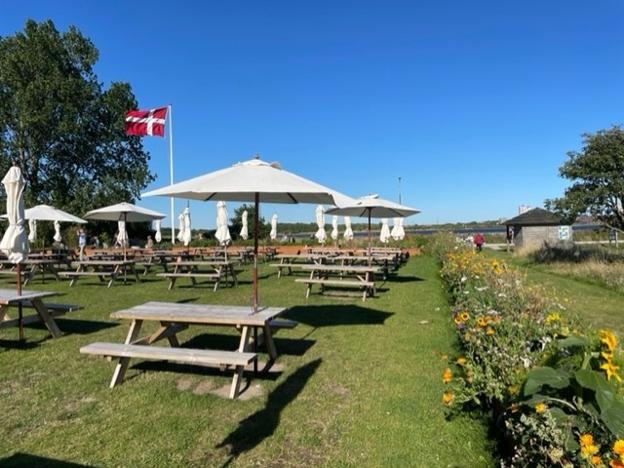 Borde-bænkesættene blev indrammet i 2021 af højbede med vilde blomster og krydderurter. Foto: Restaurant Kronborg