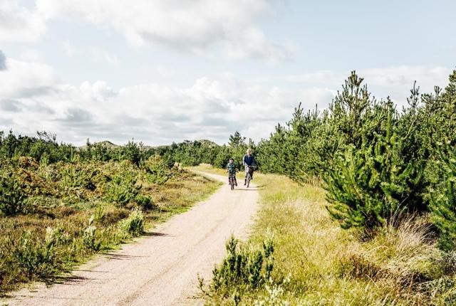 Etape fire ligger i Nationalpark Thy og strækker sig fra Hanstholm til Agger Tange - en tur på 72 km. Foto: Danmarks Nationalparker
