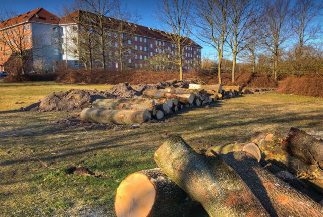 Mange træstammer har fået Vestbyens borgere til at gætte på, hvad der skal ske ved siden af Streetfood. Foto: Aalborg Kommune