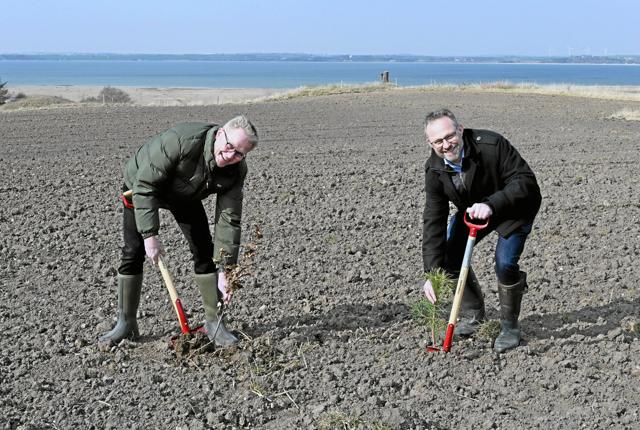 Borgmester Hans Ejner Bertelsen (V) og Lars Langkjær, adm. direktør hos DFI-Geisler fik æren af at plante de to første, ud af de 33.500 træer. Privatfoto