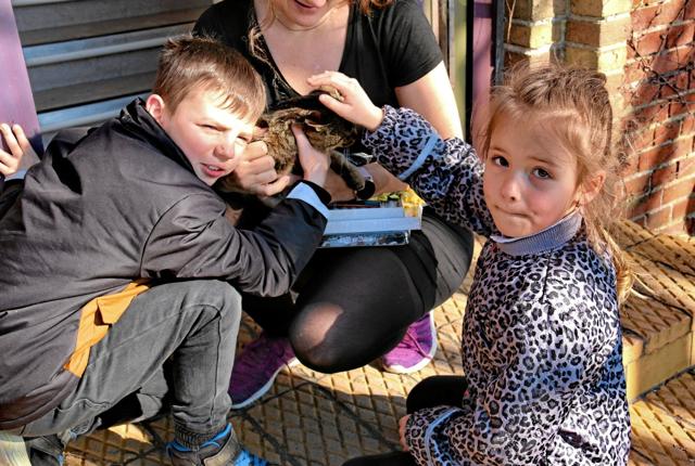 Malene Nedergaard havde sin dejlige kat med på det gamle rådhus. Den faldt disse to dejlige ukrainske børn med det samme for. Foto: Hans B. Henriksen
