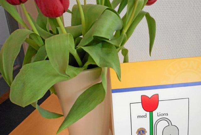 Overskuddet fra salget af tulipaner går til at sende to unge mennesker på sejltur med skonnerten Marilyn Anne til sommer. Foto: Privat foto