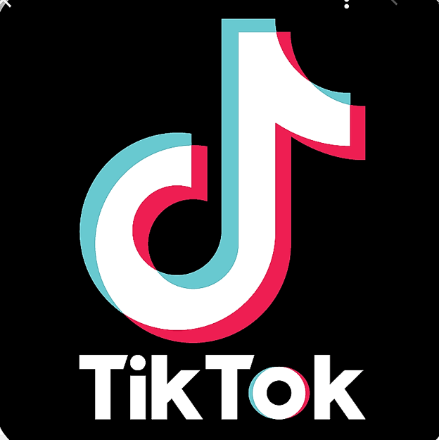 Det er på det sociale medie TikTok, at Anton Rosenkildes video fra Spar i Øster Brønderslev for alvor er eksploderet <i>Foto: Bente Poder</i>