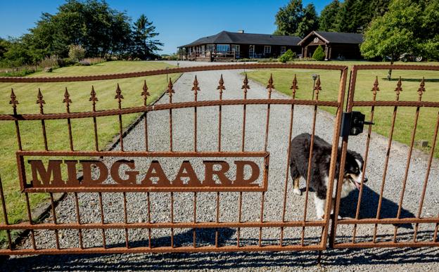 Bygmesteren gav alle sine bjælkehuse navne fra den nordiske mytologi. Boligen i Bramslev Bakker blev til "Midgaard", og her vogter hunden Nemo. <i>Foto: Martin Damgård</i>