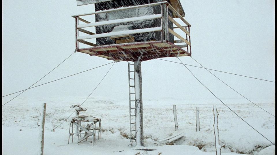 Kortfilmen "Nest", som er instrueret af islandske Hlynur Pàlmason, vinder lørdag prisen for bedste danske film på kortfilmsfestivalen Odense International Film Festival. Filmen følger tre søskende i deres træhus, som årstiderne skifter. (Handout fra Odense International Film Festival.) <i>Handout fra Odense International Film Festival/Free</i>
