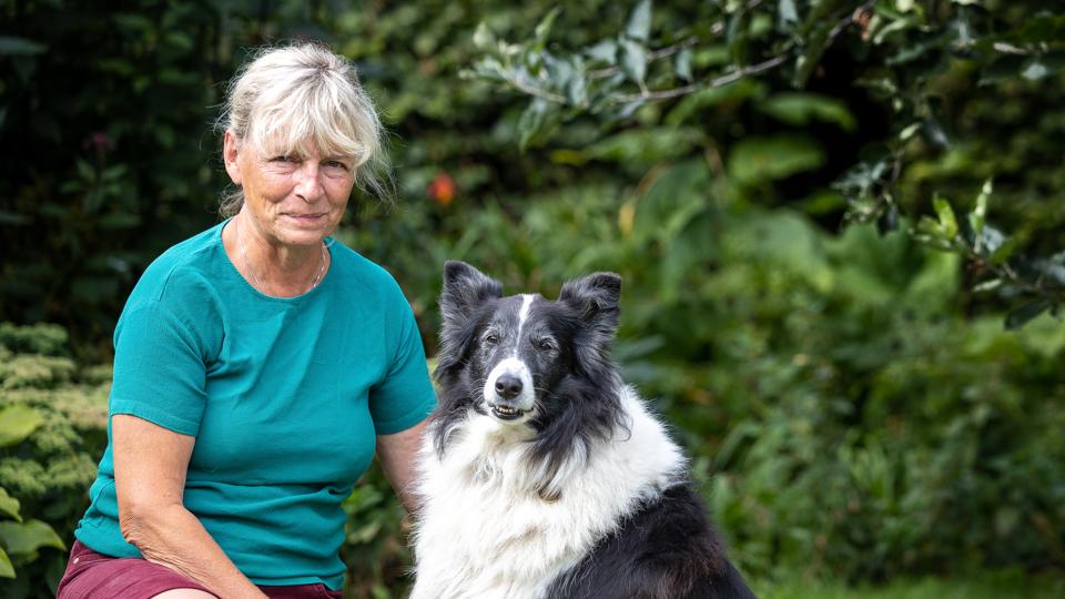 Bordercollien Rosa har kræft, og Anne Marie står overfor den svære beslutning om, hvornår det er tid til det allersidste dyrlægebesøg. <i>Foto: Kim Dahl Hansen</i>