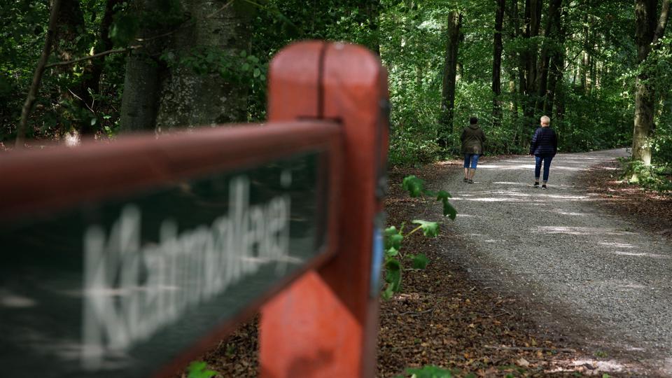 Staten skal også se på mulighederne for at lave energiparker på sine egne arealer i Thisted kommune, siger Jens Kr. Yde, men kalder det samtidig en provokation, når kommunen i et forslag til høringssvar til Bolig- og Planstyrelsen foreslår at arealer Vandet og Thorsted plantager bringes i spil til en vindmøllepark. <i>Foto: Bo Lehm</i>