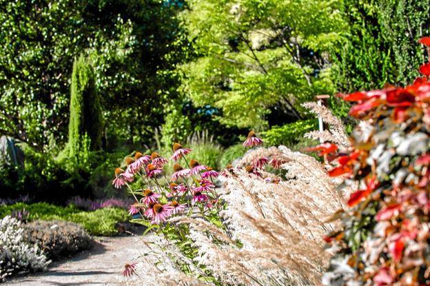 I Bangsbo Botaniske Have, der omkranser den gamle herregård kan man finde en overflod af dufte og farver Foto: Peter Jørgensen