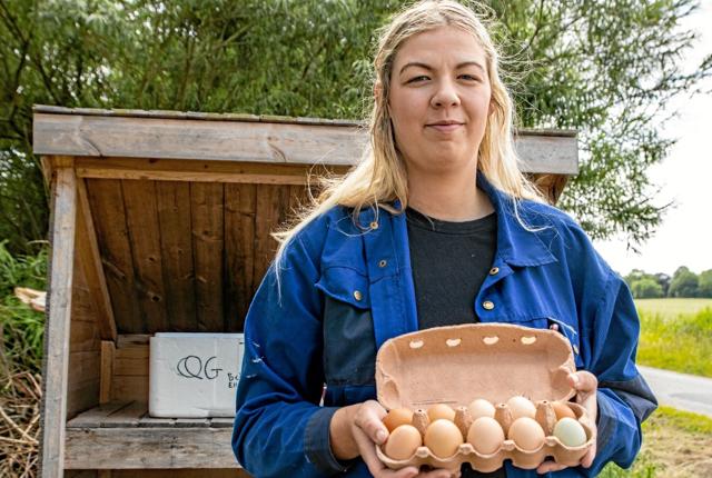 Æggene bliver revet væk fra Kate Nielsens vejbod på Knudegårdsvej i Brovst. Foto: Jesper Hansen