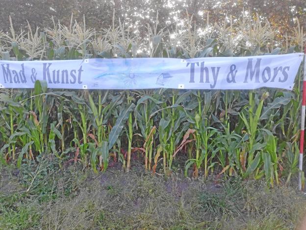 10 af Mad og Kunst Thy Mors’ 30 medlemmer, går søndag 28. august sammen om at arrangere høstmarked, der foregår i Stagstrup Skole. Privatfoto
